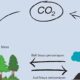Hutan Kabupaten Solok Berpotensi  Hasilkan Duit Lewat Carbon Trade